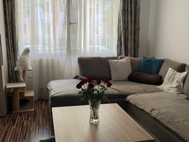 Apartament, 3 camere  decomandat,  65 mp, Dacia, de vanzare,  (Scoala George Cosbuc) 162406