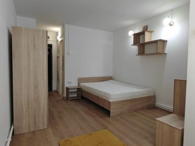 Nicolina apartament  22 mp, 1 camera,  garsoniera, de vanzare,  (Gara Nicolina) 163424