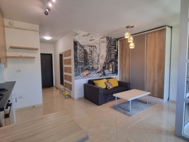 Apartament nou, 1 camera  garsoniera,  32 mp, Lunca Cetatuii, de inchiriat,  (Cartierul Visoianu) 161756