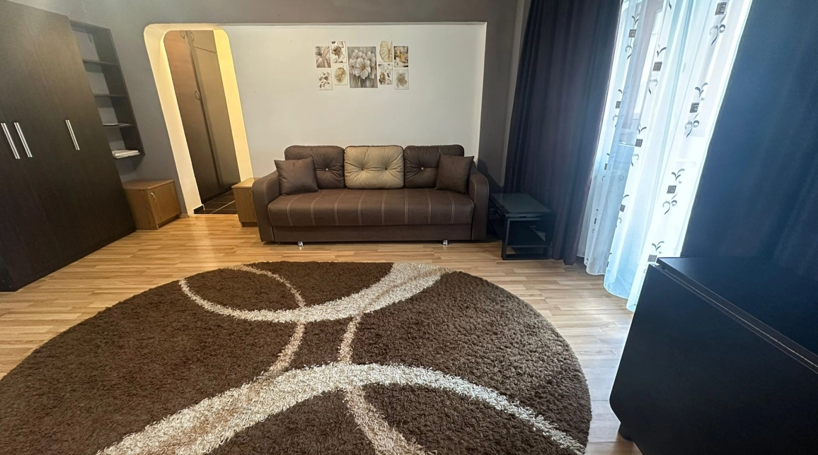 Oferta De inchiriat apartament, 1 camera, open-space, 40 mp, Nicolina,  Biserica Catolica imagine 4