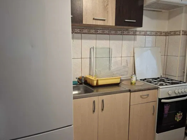 Apartament, 1 camera  decomandat,  40 mp, Nicolina, de inchiriat,  (Lidl) 162946