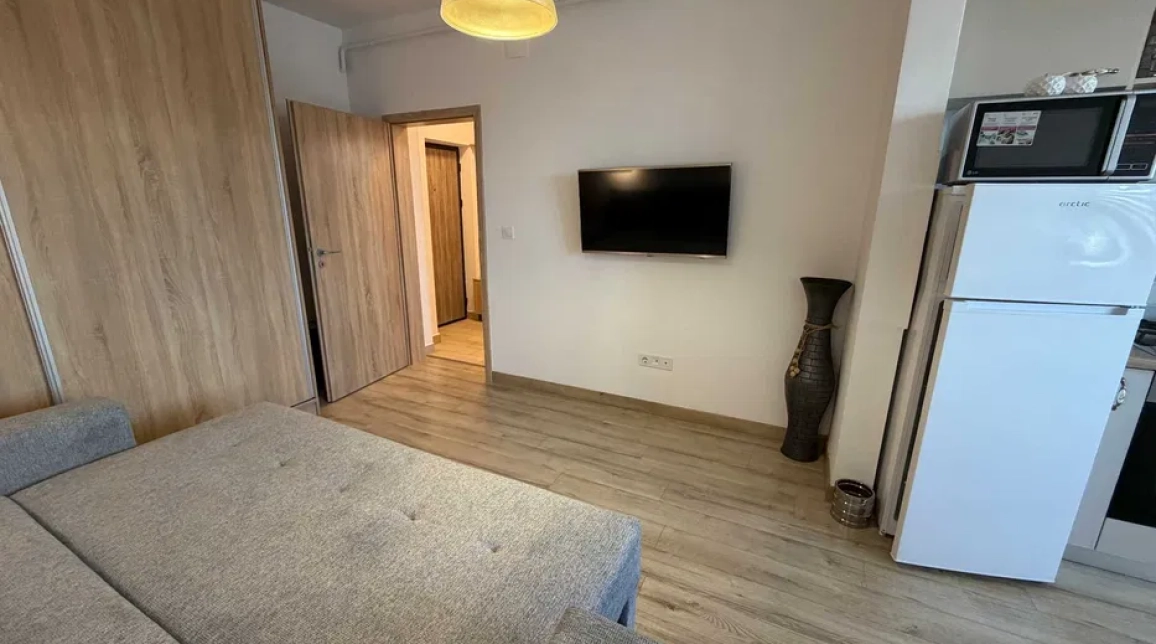 Oferta Tatarasi apartament 28 mp, 1 camera, semidecomandat, de inchiriat,  Doi Baieti imagine 9