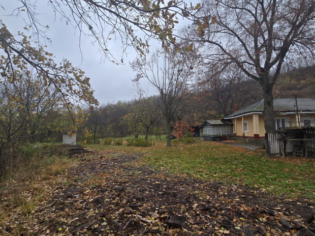 Teren  Tomesti Biserica 1000mp  160519