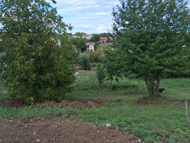 Apartament 0 camere - Valea Adanca