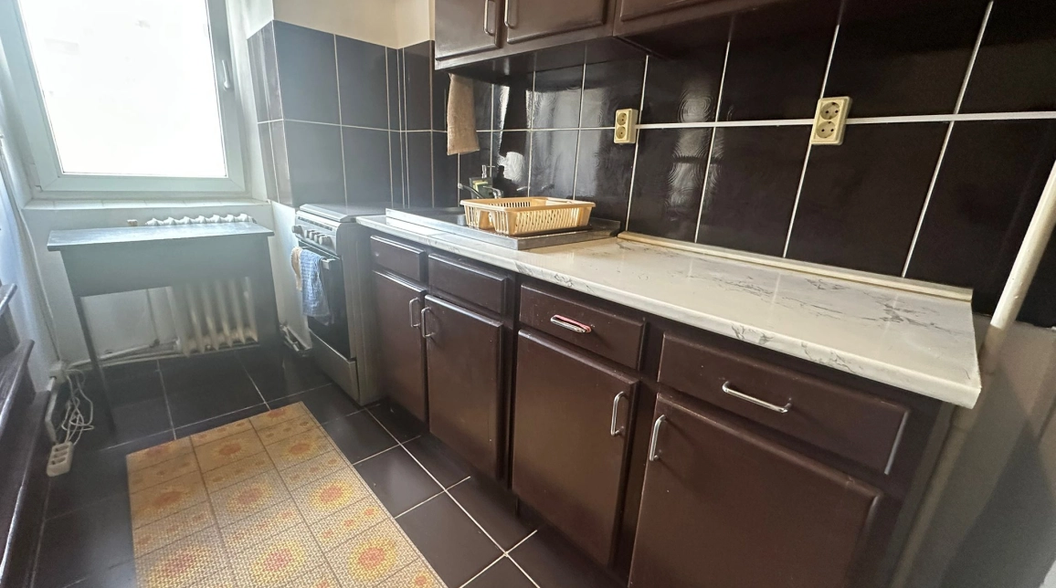 Oferta De inchiriat apartament, 1 camera, open-space, 40 mp, Nicolina,  Biserica Catolica imagine 6