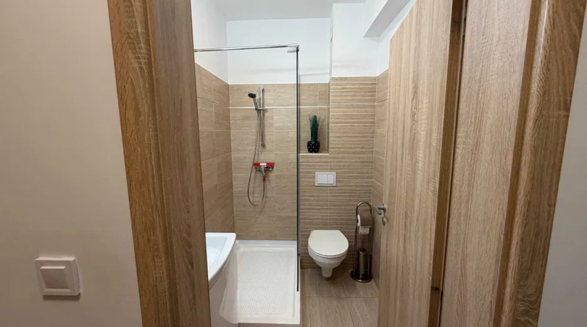 Oferta Tatarasi apartament 28 mp, 1 camera, semidecomandat, de inchiriat,  Doi Baieti imagine 8
