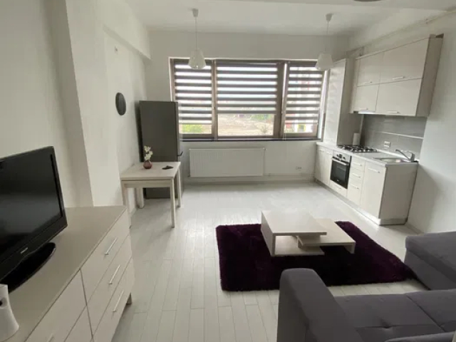 1 camera,  garsoniera,  29 mp, de vanzare apartament in zona Tatarasi,  (Doi Baieti-bloc nou) 163268