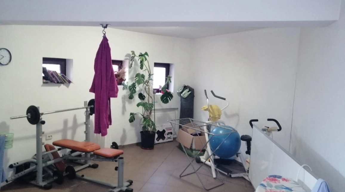 Oferta 5 camere, 280 mp, de vanzare casa in zona Visani,  Visani imagine 3