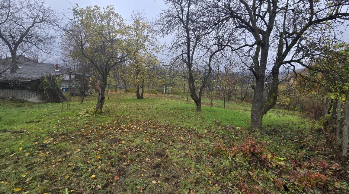 Oferta Teren de vanzare Tomesti Biserica 1000 mp  imagine 1