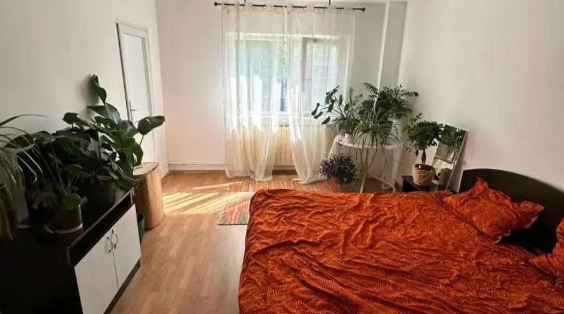 Oferta Apartament, 1 camera decomandat, 35 mp, Nicolina, de vanzare,  Prima statie imagine 2