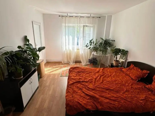 Apartament, 1 camera  decomandat,  35 mp, Nicolina, de vanzare,  (Prima statie ) 162636