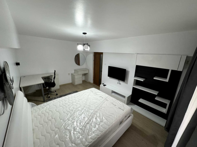 Apartament, 1 camera  decomandat,  30 mp, Alexandru cel Bun, de vanzare,  (Piata Voievozilor) 163171