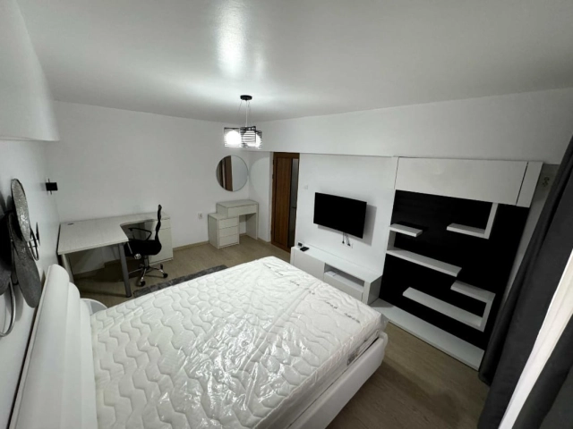 Apartament 1 camere - Alexandru cel Bun