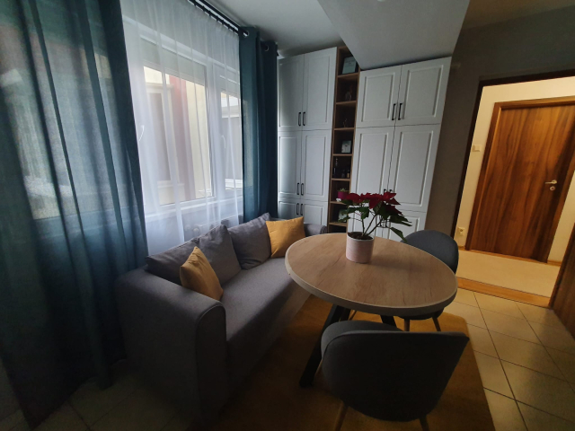2 camere,  open-space,  46 mp, de inchiriat apartament in zona Tatarasi,  (Penta) 159313
