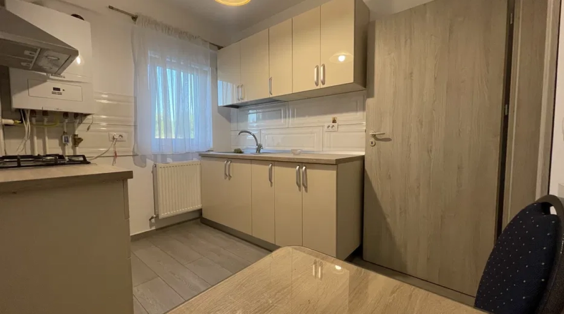 Oferta De inchiriat apartament, 1 camera, decomandat, 40 mp, Podul de Fier,  Littile Texas imagine 2