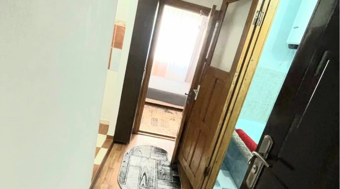 Oferta De vanzare apartament, 1 camera, decomandat, 20 mp, Alexandru cel Bun,  Zimbru imagine 6