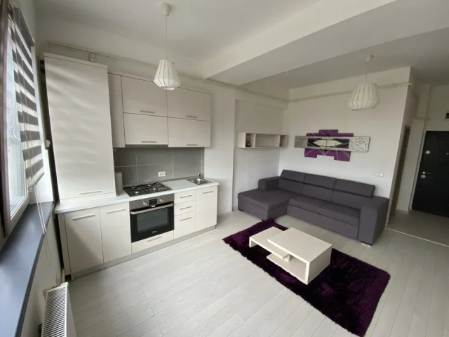 1 camera,  garsoniera,  29 mp, de vanzare apartament in zona Tatarasi,  (Doi Baieti-bloc nou) 163268