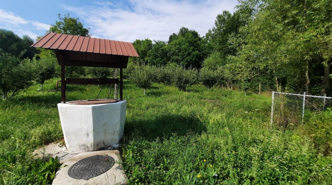 Oferta Teren de vanzare Borlesti Mastacan 3285 mp  imagine 8