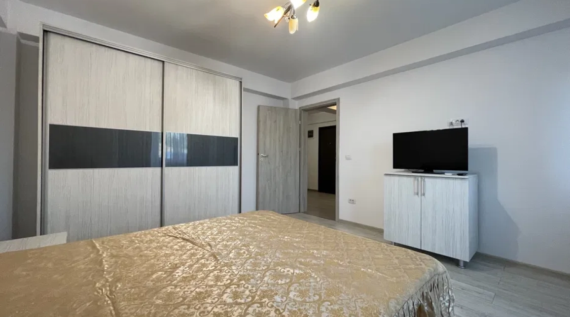 Oferta De inchiriat apartament, 1 camera, decomandat, 40 mp, Podul de Fier,  Littile Texas imagine 3