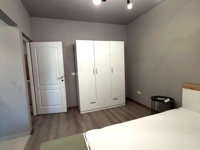 De inchiriat apartament, 1 camera,  decomandat,  40 mp, Valea Adanca,  (Profi) 162172
