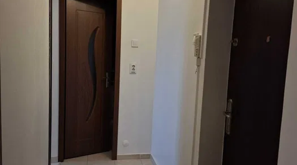 Oferta Apartament, 1 camera decomandat, 40 mp, Nicolina, de inchiriat,  Lidl imagine 7