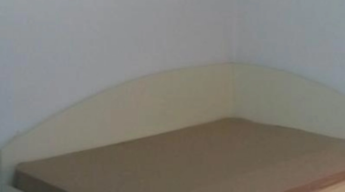 Oferta De inchiriat apartament, 1 camera, semidecomandat, 22 mp, Centru,  hala Centrala imagine 1