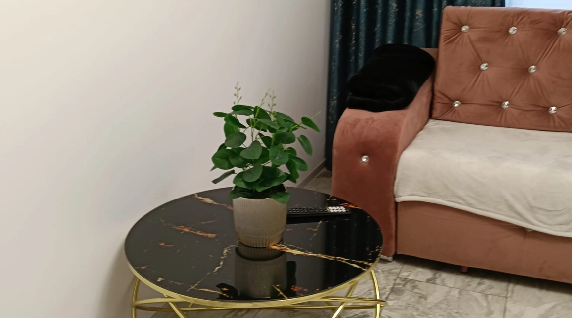 Oferta De vanzare apartament, 2 camere, nedecomandat, 50 mp, Podu Ros,  1001 Articole imagine 18