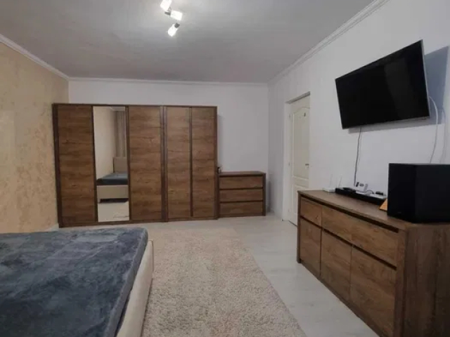 1 camera,  decomandat,  42 mp, de vanzare apartament in zona Poitiers,  (LIDL -CONTINENTAL) 162048