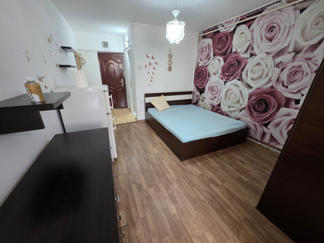 Apartament de inchiriat, 1 camera,  garsoniera,  24 mp, Alexandru cel Bun,  (Zimbru) 162320