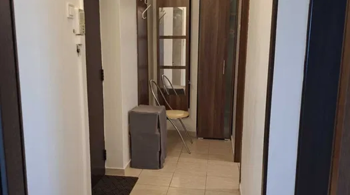 Oferta Apartament, 1 camera decomandat, 40 mp, Nicolina, de inchiriat,  Lidl imagine 8