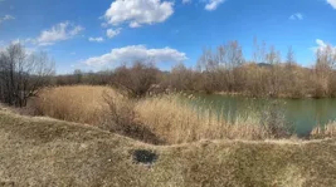 Oferta Teren de vanzare Alexandru cel bun (Jud. Neamt) Bistrita / Vila Blanca 2850 mp  imagine 5