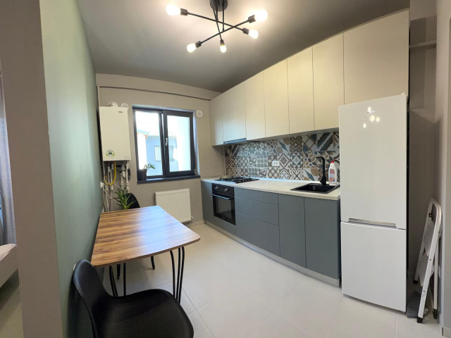 De inchiriat apartament, 1 camera,  decomandat,  40 mp, Valea Adanca,  (Profi) 162172