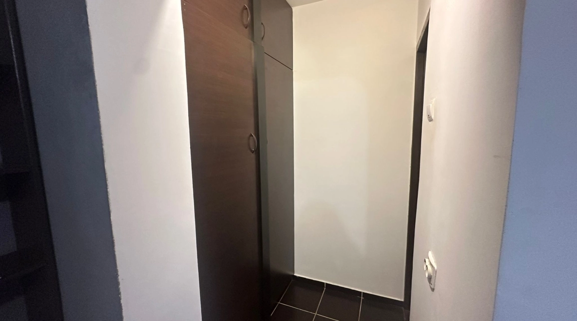 Oferta De inchiriat apartament, 1 camera, open-space, 40 mp, Nicolina,  Biserica Catolica imagine 10