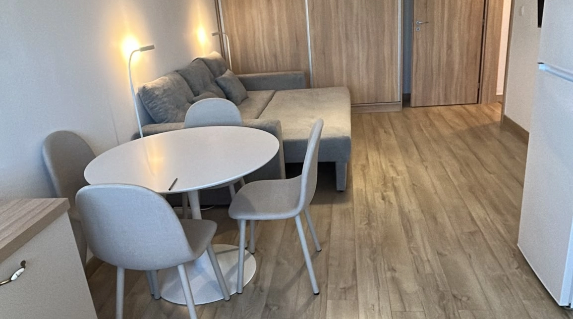 Oferta Tatarasi apartament 28 mp, 1 camera, semidecomandat, de inchiriat,  Doi Baieti imagine 5