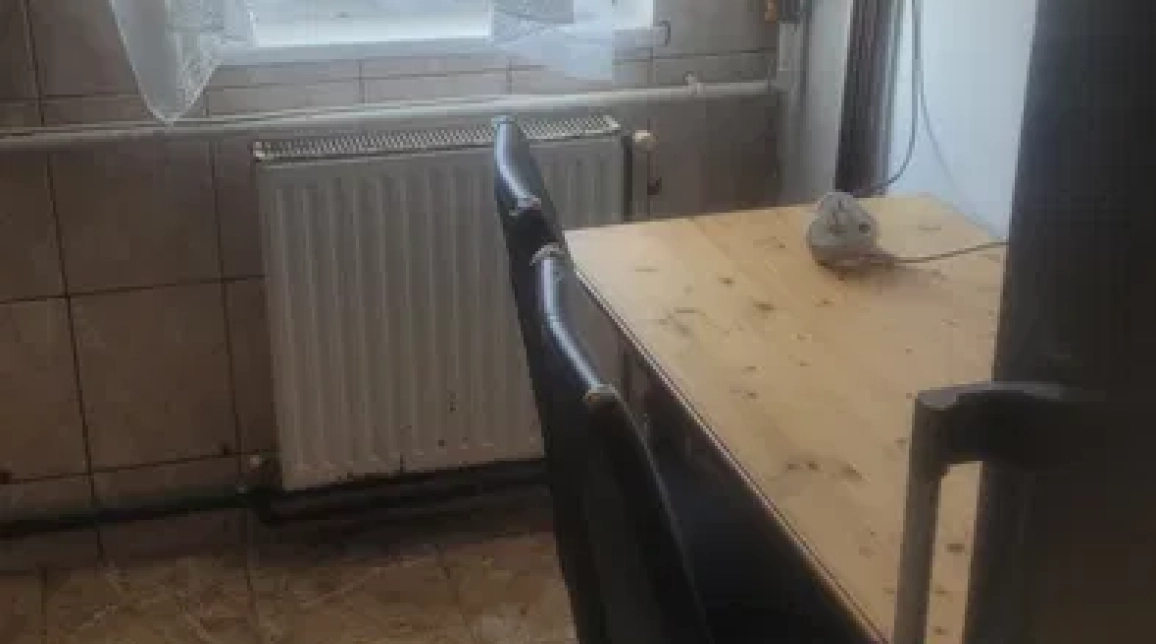 Oferta De vanzare apartament, 2 camere, semidecomandat, 50 mp, Precista,  Laguna imagine 5