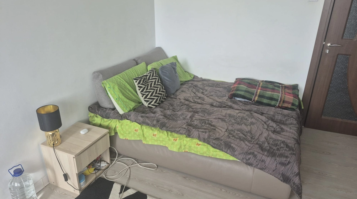 Oferta Garsoniera, 27 mp, Podu Ros, de vanzare,  Piata Nicolina imagine 5