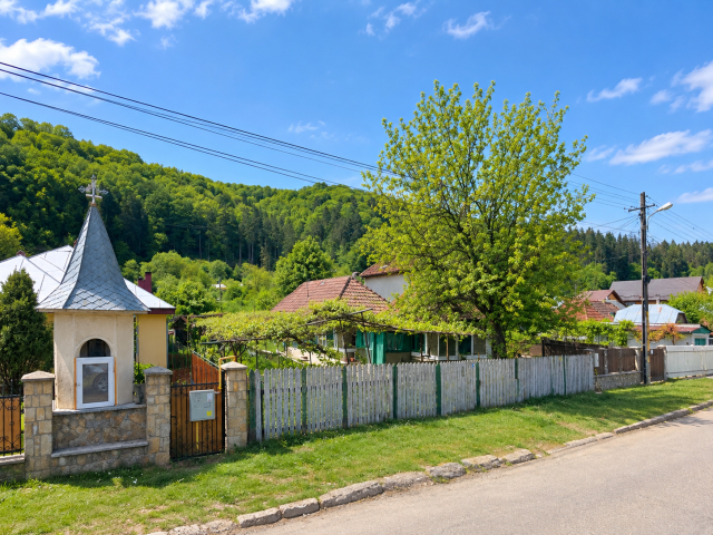 Valeni casa 50mp, 2 camere,  de vanzare,  (Pod Caprioara) 162849