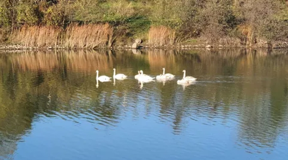 Oferta Teren de vanzare Alexandru cel bun (Jud. Neamt) Bistrita / Vila Blanca 2850 mp  imagine 6