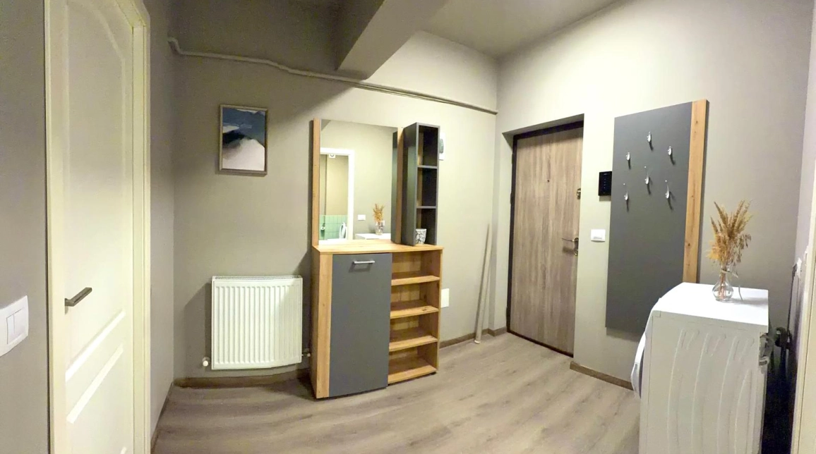 Oferta De inchiriat apartament, 1 camera, decomandat, 40 mp, Valea Adanca,  Profi imagine 4