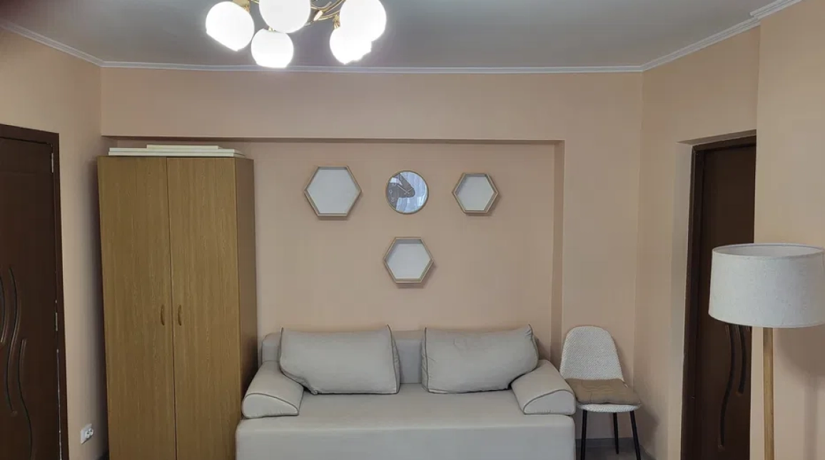 Oferta De inchiriat apartament, 1 camera, decomandat, 41 mp, Nicolina,  Biserica Catolica imagine 3