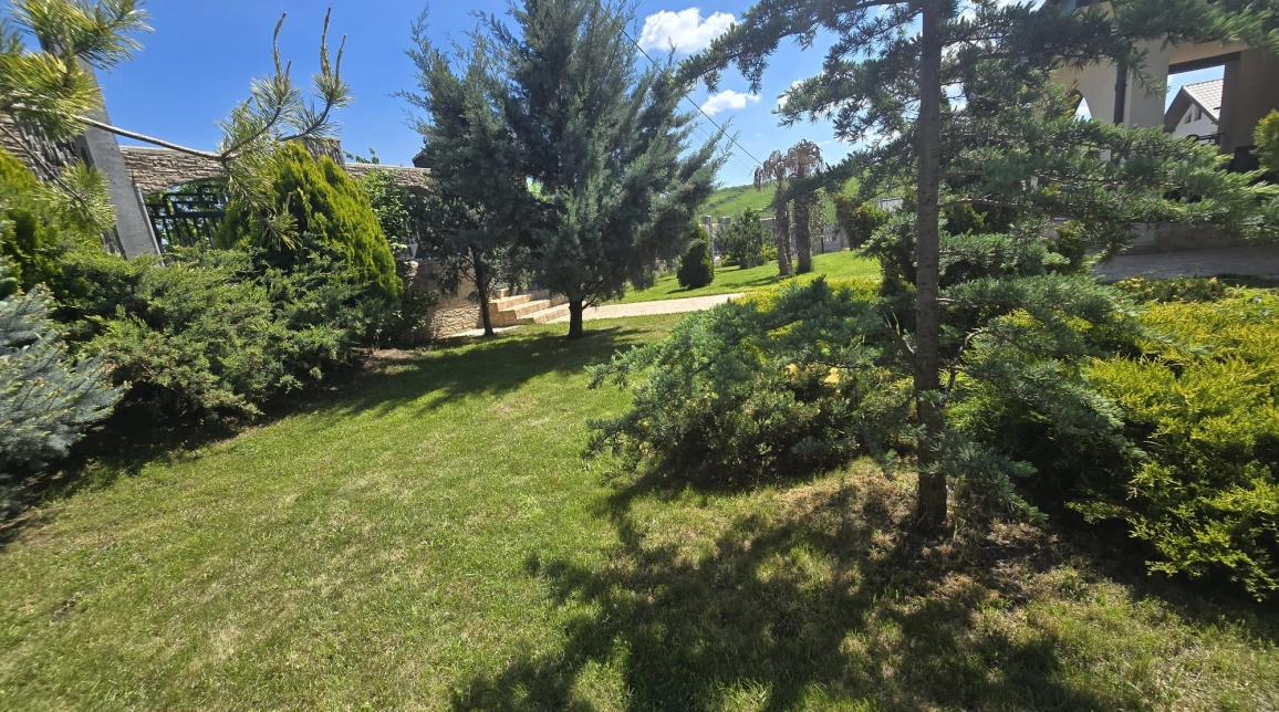 Oferta De vanzare casa, 5 camere, 180 mp, Visani,  700m de Freya imagine 3