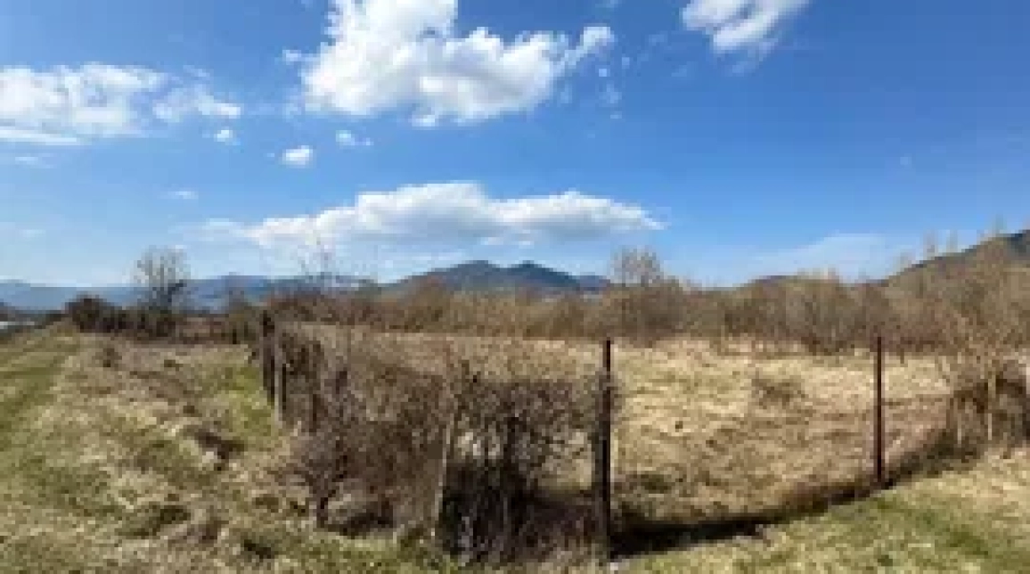 Oferta Teren de vanzare Alexandru cel bun (Jud. Neamt) Bistrita / Vila Blanca 2850 mp  imagine 7