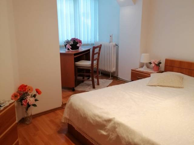 Apartament de inchiriat, 2 camere,  decomandat,  54 mp, Nicolina,  (dupa mag Profi) 163295