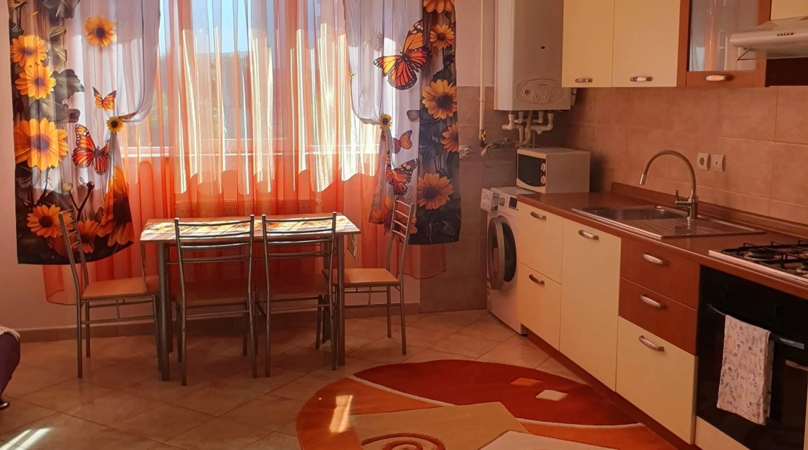 Oferta Calea Romanului apartament 47 mp, 2 camere, duplex, de vanzare,  Stamatin / White Lady imagine 2