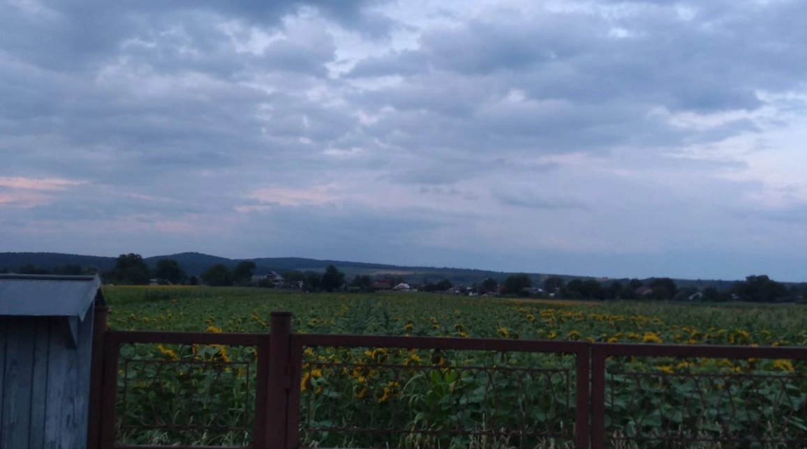 Oferta De vanzare casa, 10 camere, 130 mp, Bodesti,   imagine 5