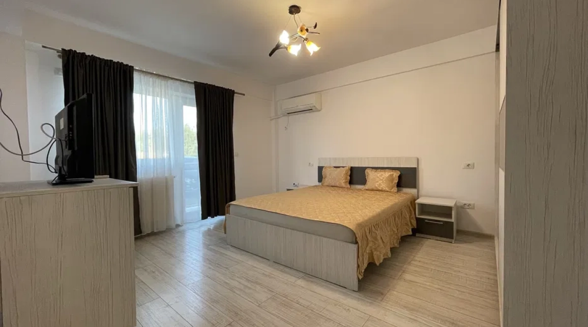 Oferta De inchiriat apartament, 1 camera, decomandat, 40 mp, Podul de Fier,  Littile Texas imagine 4