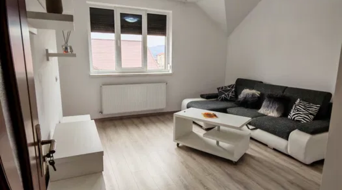 Oferta Apartament, 2 camere decomandat, 80 mp, Calea Romanului, de inchiriat imagine 4