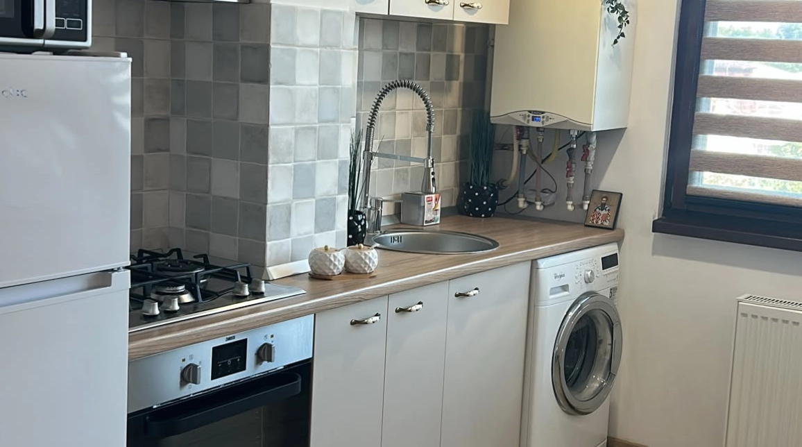 Oferta Tatarasi apartament 28 mp, 1 camera, semidecomandat, de inchiriat,  Doi Baieti imagine 10