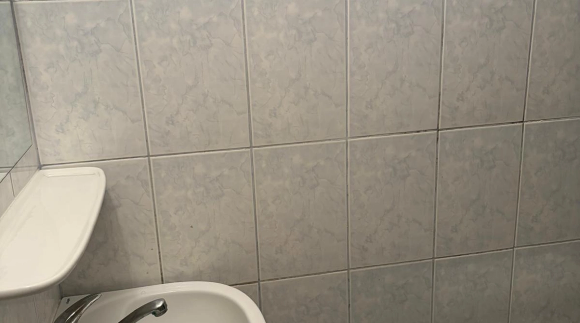 Oferta Garsoniera, 27 mp, Podu Ros, de vanzare,  Piata Nicolina imagine 7