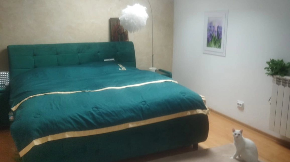 Oferta De vanzare casa, 9 camere, 400 mp, Bucium,  dupa scoala Veronica Micle imagine 18